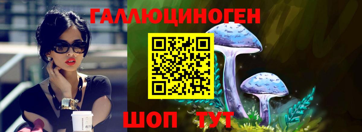 Псилоцибиновые грибы прущие грибы  закладка  Междуреченск  Вход с VPN  Галлюциногенные грибы Psilocybe 